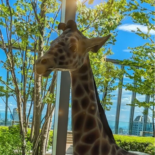 分裂する